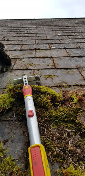 Roof moss removal Roof moss removal