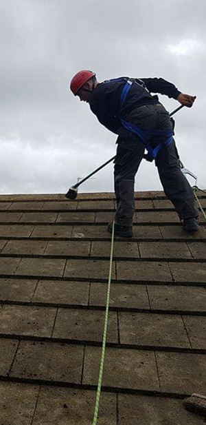 Roof Cleaning Roof Cleaning